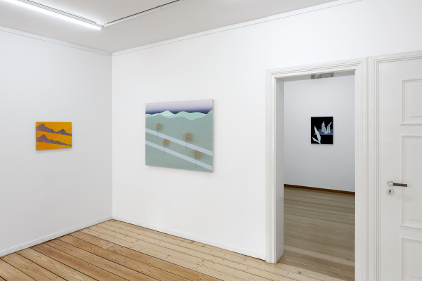 Installation view of works by Robert Vellekoop