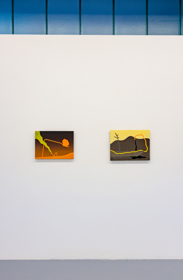 Installation view of works by Robert Vellekoop