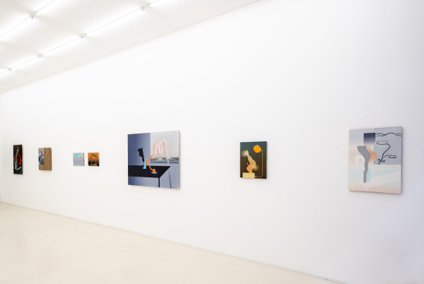 Painting Installation View by Robert Vellekoop