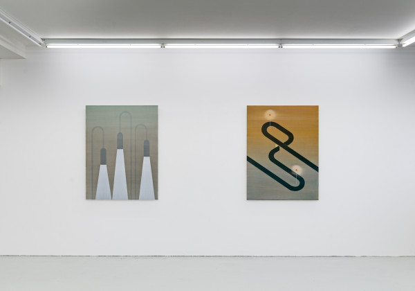Installation view of works by Robert Vellekoop